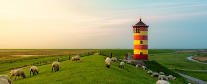  1ostfriesland_ramsauer2